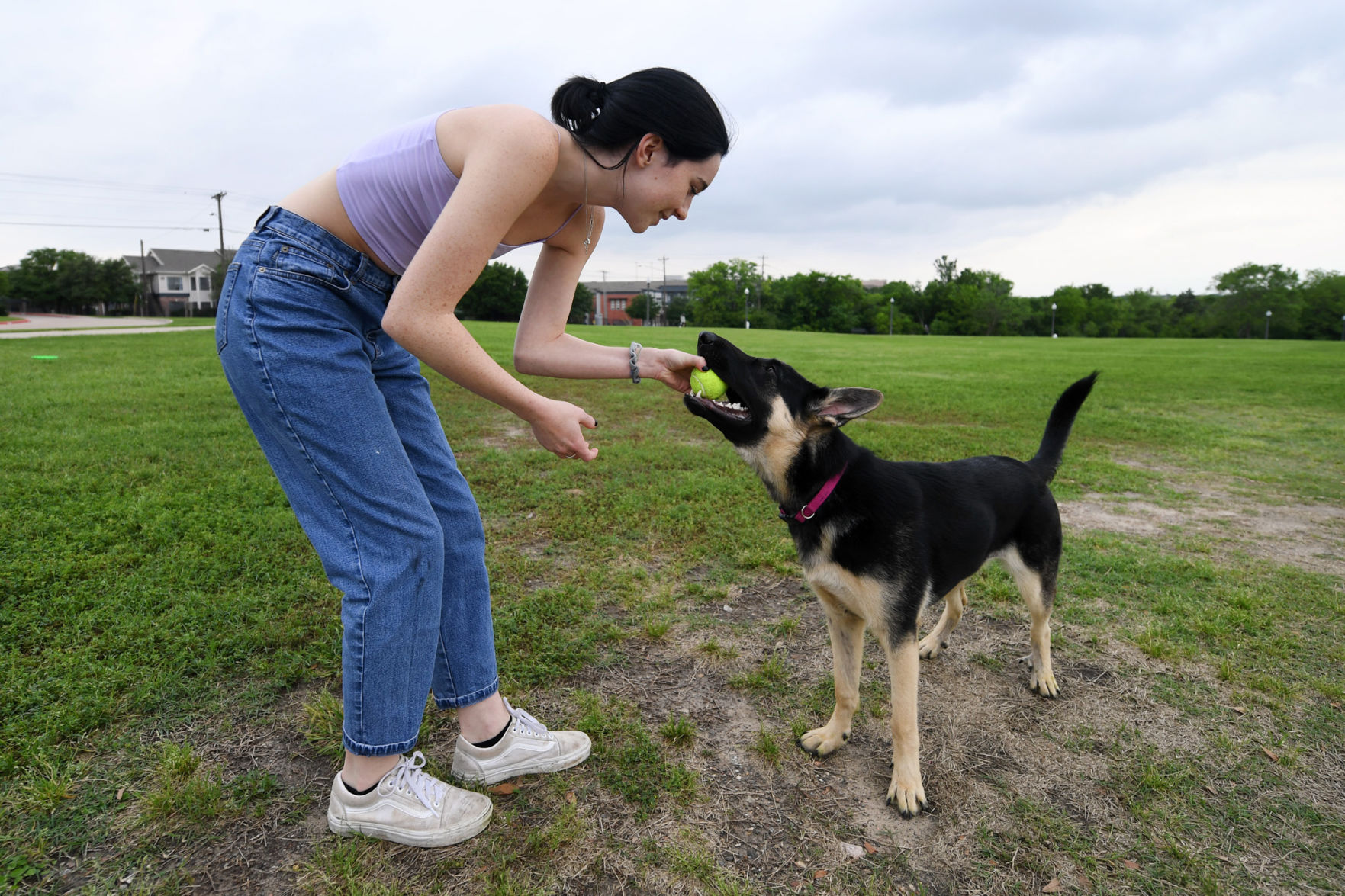 Pets